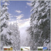 [thumbnail of Echo_2013_41.pdf]