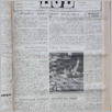 [thumbnail of Lud_1986_21.pdf]