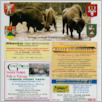 [thumbnail of Dzien dobry_nr33.pdf]