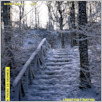 [thumbnail of Glos_2003_06 (2036).pdf]