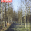 [thumbnail of Glos Katolicki 2006_11 (2177).pdf]