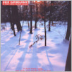 [thumbnail of Glos Katolicki 2007_05 (2216).pdf]