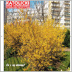 [thumbnail of Glos Katolicki 2008_13.pdf]