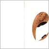 [thumbnail of 10741d.jpg]