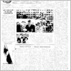 [thumbnail of Orzel_Bialy_1956_29.pdf]