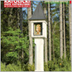 [thumbnail of Glos_Katolicki_2013_21.pdf]