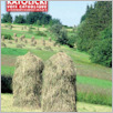 [thumbnail of glos_katolicki_29_16_e-mail.pdf]