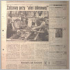 [thumbnail of 46.pdf]