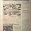 [thumbnail of 45.pdf]