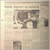 [thumbnail of 120.pdf]