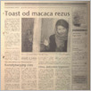 [thumbnail of 251.pdf]
