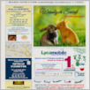 [thumbnail of Dzien dobry_nr103.pdf]