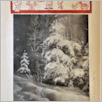 [thumbnail of 1937_02_dodatek.pdf]