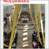[thumbnail of Polonia_Moldawska_2023_3.pdf]