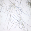[thumbnail of Drangsong_016_fibres.pdf]