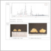 [thumbnail of Drangsong_017_XRF-RTI.pdf]