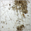 [thumbnail of Drangsong_025_fibres.pdf]
