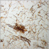 [thumbnail of Drangsong_030_fibres.pdf]