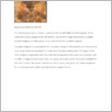 [thumbnail of Ds 039_Amulet NM.pdf]