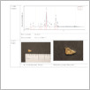 [thumbnail of Ds 39 XRF RTI.pdf]