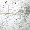 [thumbnail of Drangsong_043_fibres.pdf]