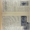 [thumbnail of Narodowiec_1933_227_5.jpg]