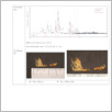 [thumbnail of Drangsong_112_f_4_XRF-RTI.pdf]