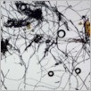 [thumbnail of Drangsong_195_fibres_f2.pdf]