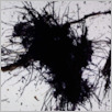 [thumbnail of Drangsong_195_fibres_f4.pdf]