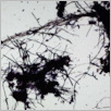 [thumbnail of Drangsong_229_fibres.pdf]