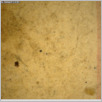 [thumbnail of Drangsong_302_macro.pdf]