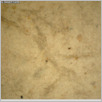 [thumbnail of Drangsong_309_macro.pdf]