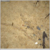 [thumbnail of Drangsong_314_macro.pdf]