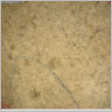 [thumbnail of Drangsong_318_macro.pdf]
