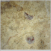 [thumbnail of Drangsong_328_macro.pdf]
