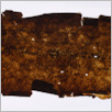 [thumbnail of Drangsong_292_backlites.pdf]