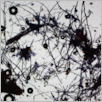 [thumbnail of Drangsong_250_fibres.pdf]