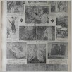 [thumbnail of Narodowiec_1935_018_4.JPG]