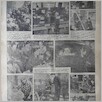 [thumbnail of Narodowiec_1935_042_5.JPG]