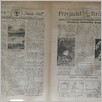 [thumbnail of Narodowiec_1935_255_5.JPG]