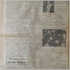 [thumbnail of Narodowiec_1935_262_2.JPG]