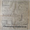 [thumbnail of Narodowiec_1935_262_8.JPG]