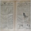 [thumbnail of Narodowiec_1935_271_5.JPG]