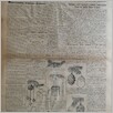 [thumbnail of Narodowiec_1935_278_7.JPG]