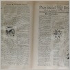 [thumbnail of Narodowiec_1935_295_5.JPG]