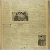 [thumbnail of Narodowiec_1937_015_3.JPG]