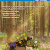 [thumbnail of Flandria_po_polsku_2024_03.pdf]
