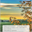 [thumbnail of Flandria_po_polsku_2024_09.pdf]