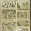 [thumbnail of Narodowiec_1937_120_5.JPG]