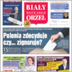 [thumbnail of BialyOrzel_CONNECTICUT_2023-17.pdf]
